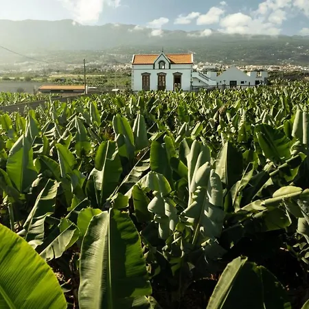 Villa Hacienda Orovales Puerto de la Cruz (Tenerife)