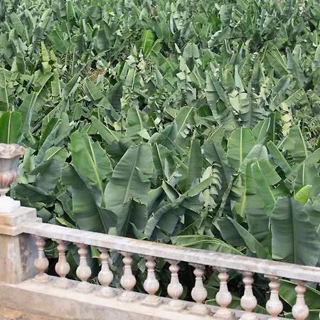 Hacienda Orovales بويرتو ذي لا كروز