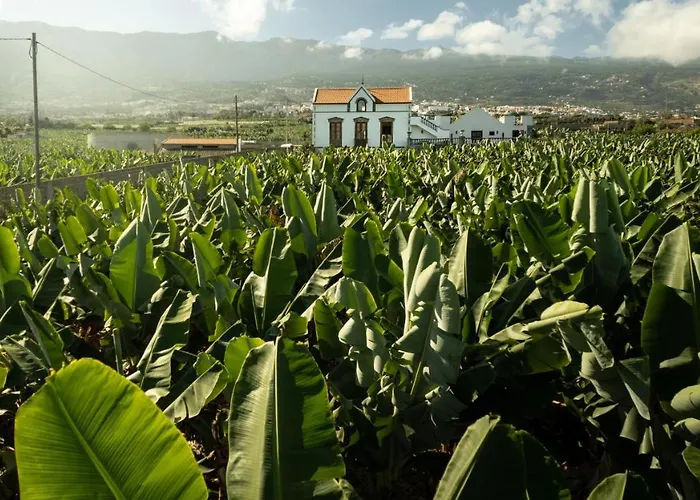 Вилла Hacienda Orovales Пуэрто-де-ла-Крус