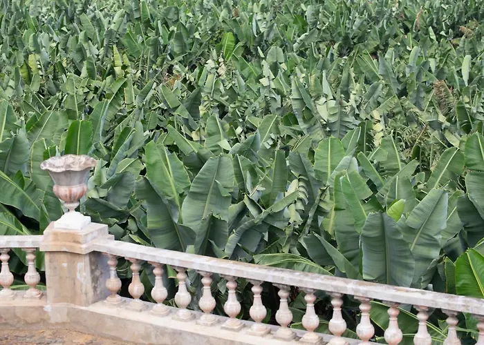 Hacienda Orovales Пуэрто-де-ла-Крус