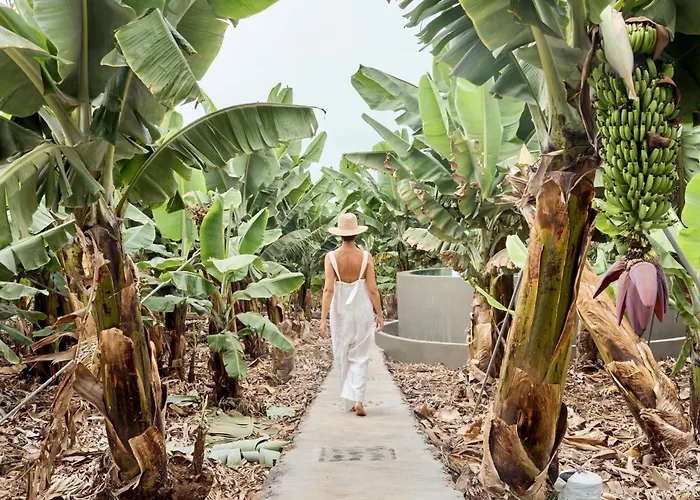 Вилла Hacienda Orovales *